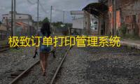 极致订单打印管理系统 20.01.16.3 免费版