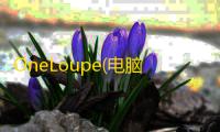 OneLoupe(电脑放大镜)